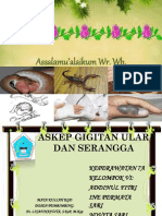 Askep Gigitan Ular Dan Serangga