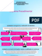 Esquema Procedimental Laboral Colectivo