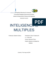 Ensayo Sobre Inteligencias Muliples