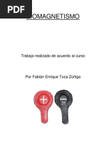 Fabian-Tuca-Biomagnetismo-Curso.pdf