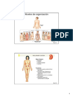 Sistema Urinario.pdf