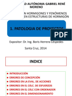 Patología de Proyectos