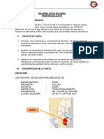 248708562-Informe-Visita-de-Obra-Puente-Ilave.pdf