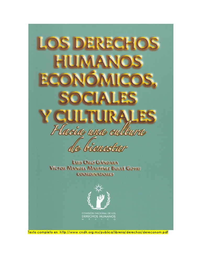 Los Derechos Humanos Economicos, Sociales y Cultuales | PDF | Libertad ...