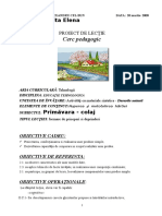 0proiected.tehnologica4.doc