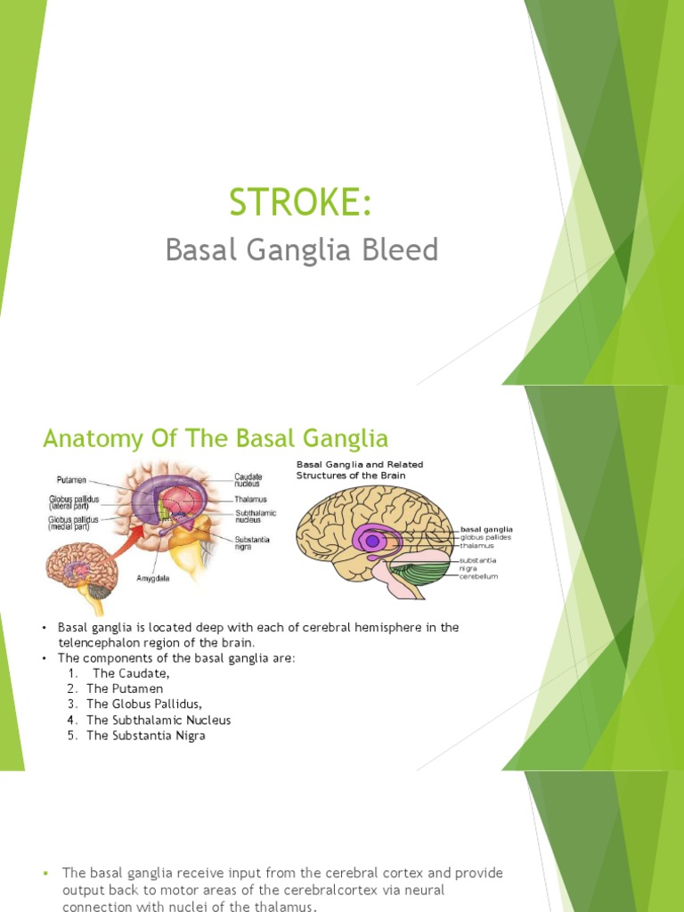 Stroke Basal Ganglia Bleed PDF Basal Ganglia Stroke