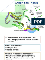 Sintesis Protein