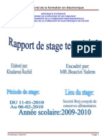 Copy of Raport