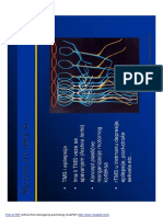 IlicTihomir - TMS - 2 (Compatibility Mode) PDF