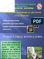 PATOLOGIA-PESTEVIRUS-BOVINO.pptx