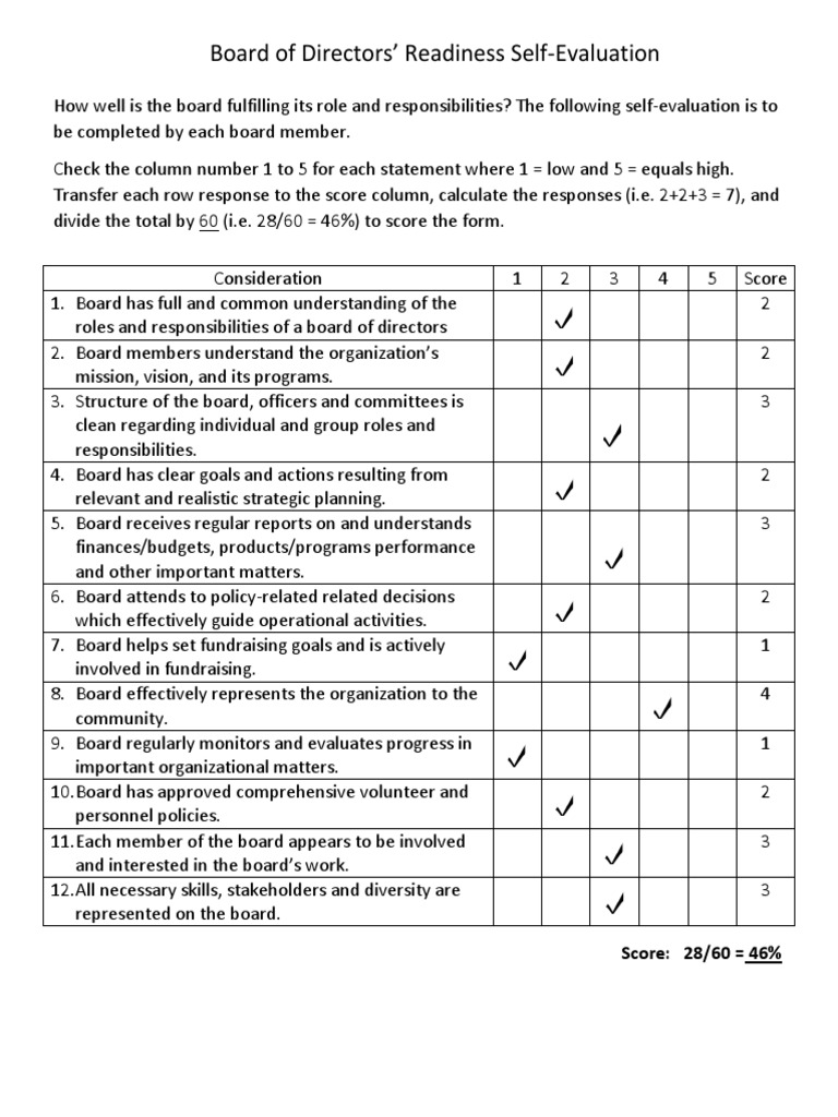 Board of Directors Readiness Self Evaluation PDF Board Of Directors