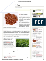 Como Sembrar Lino o Linaza - Permacultura Libre