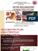 Proceso de Inflamacion en Helicobacter Pylori.pptx Expo