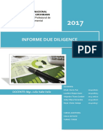 Informe Du Dilingence Completo