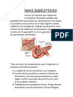 Las Enzimas Digestivas