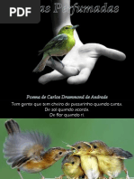+AlmasPerfumadas