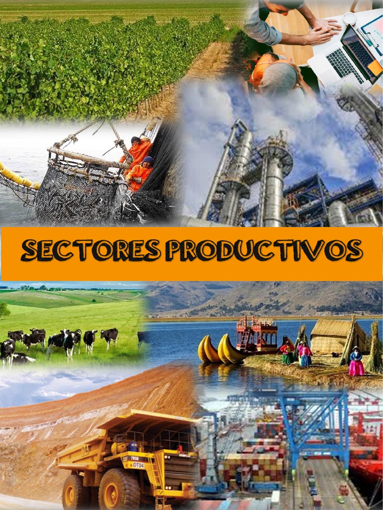 Resultado de imagen de sectores productivos
