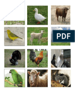 Animales de Granja