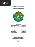 Surat Keterangan Perkiraan Pengeluaran Bulanan Keluarga Jemi