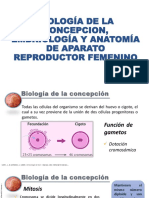 Biología de La Concepcion, Embriología y Anatomía de Aparato Reproductor Femenino