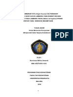 EFEK VCO PENURUNAN SKOR ULKUS LAMBUNG