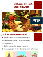 METABOLISMO DE LOS HC_Diapositivas