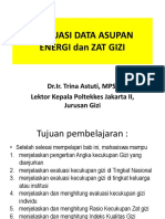 Evaluasi Data Asupan Energi Dan Zat Gizi