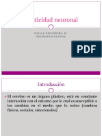 Clase 4 Plasticidad Neuronal y Sinaptica