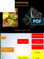 Biopsikologi 09 Neuron-Hormon