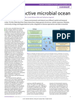 The Interactive Microbial Ocean: Comment