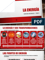 Tema5 Cienciasnaturales 170528175346