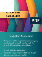 Anabolisme Karbohidrat