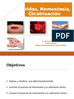 6.heridas - Hemostasia - Cicatrización