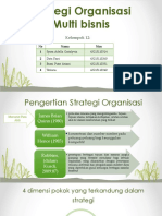 Strategi Organisasi Multi Bisnis