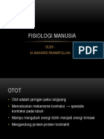 Fisiologi Manusia MJR