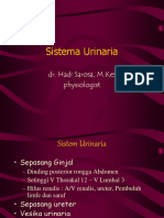 Fisiologi Sistem Urogenital (Dr. Hadi)