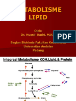 metabolisme-lipid1