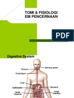 Anfis Sistem Pencernaan