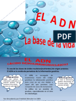 2. EL ADN (1)