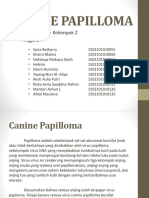 Canine Papilloma