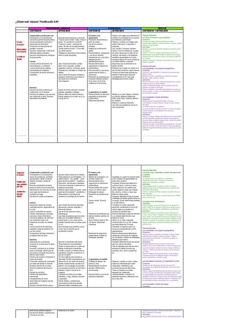Planificacion Anual 1 Grado NAP PDF Lectura (proceso) Escritura