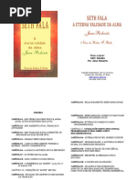 Seth Fala Livro Completo