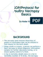 Poultry Necropsy Basics
