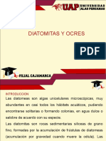 7.0 DIATOMITAS Y OCRES.pptx