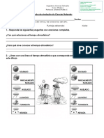 Prueba Naturales Niv