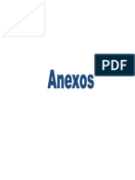 iANEXOS MS.docx
