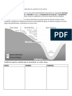 5º básico .Ciencias  naturales. Tipos de Zonas Marinas. Características de los  océanos. 