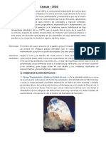 TIPOS DE CUARZO.pdf
