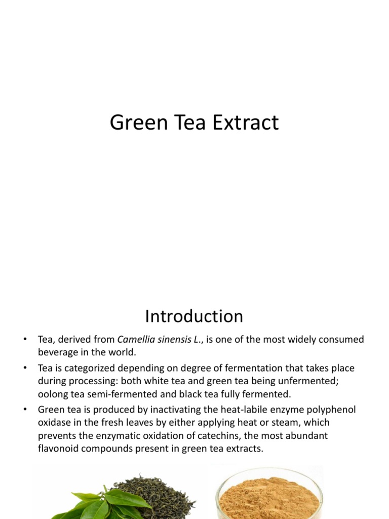 Green Tea Extraction Methods and Benefits | PDF | Green Tea ...