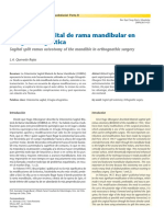 controversia2.pdf